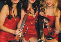 STRING LADIES