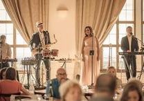 The Party Band