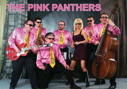 THE PINK PANTHERS