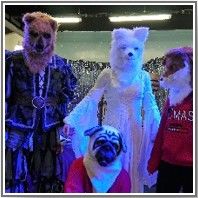Karneval s polární liškou a jejími kamarády 