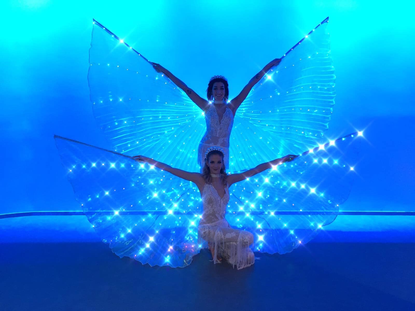LED show - Motýlí víly