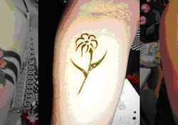 Henna, twinkle a temporary tatoo 