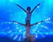 LED show - Motýlí víly